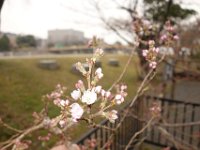 DSC05200