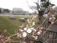 DSC05201