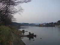 DSC05206
