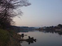 DSC05240