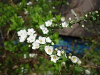 DSC05256