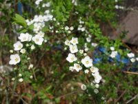 DSC05257