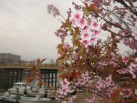 DSC05261