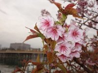 DSC05262