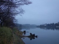 DSC05270
