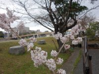 DSC05288
