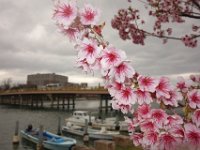 DSC05291