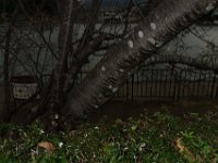 DSC05294