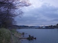 DSC05301