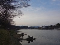 DSC05319