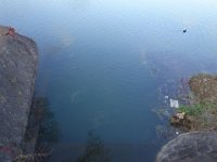 DSC05381