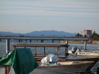 DSC05405
