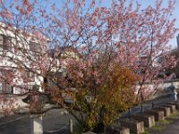 DSC05406