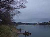 DSC05412
