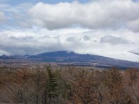 DSC05481