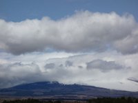 DSC05483