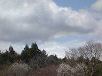 DSC05495
