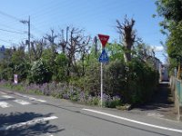 DSC05549