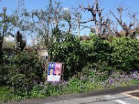 DSC05551