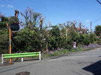 DSC05552