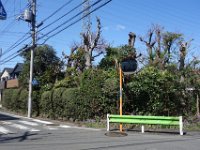 DSC05553