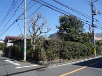 DSC05554