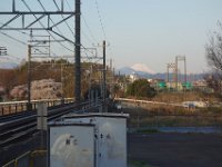 DSC05600