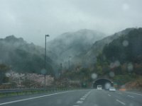 DSC05639