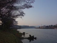 DSC05664