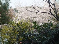 DSC05677