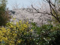 DSC05679