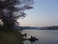 DSC05703