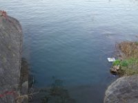DSC05718
