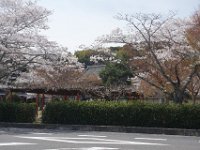 DSC05724