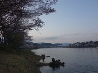 DSC05729