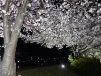 DSC05802