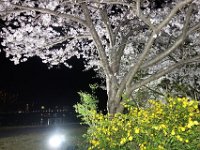 DSC05803