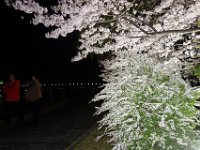 DSC05805