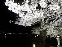 DSC05806