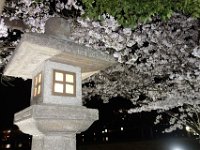 DSC05807
