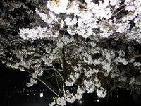 DSC05809