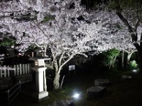 DSC05815