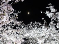 DSC05818