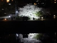 DSC05819