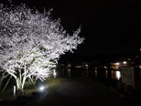 DSC05823