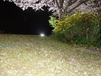 DSC05846