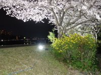 DSC05847