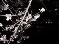 DSC05856