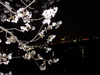 DSC05857