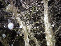 DSC05867